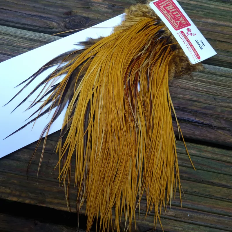 Whiting Pro-Grade Midge Rooster Saddle in THE DYE MASTERS Range Golden Olive Variant E-3